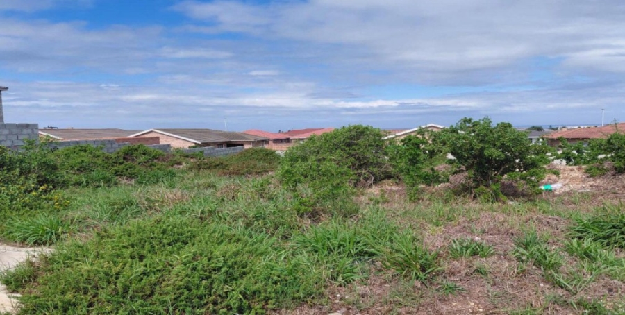 0 Bedroom Property for Sale in Bluewater Bay Eastern Cape